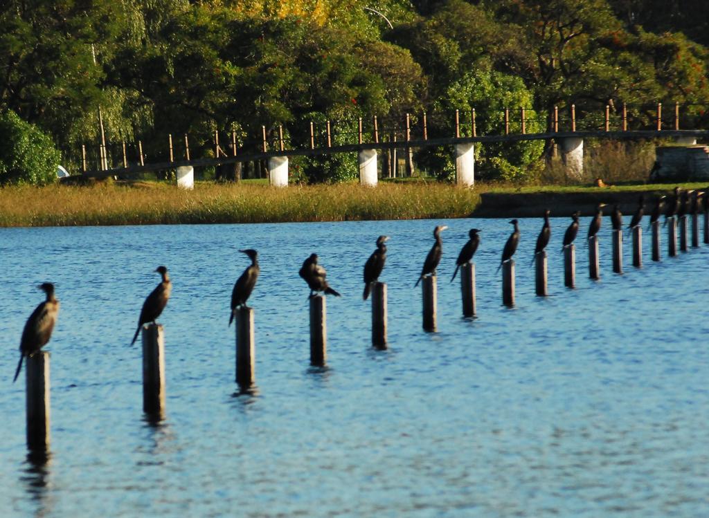 Apartamentos Laguna De Navarro Esterno foto